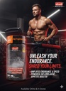Denik Research Stenabolic (SR-9009) - Pro Foundation Series