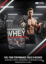 Optimum Nutrition (ON) Performance Whey - Chocolate Milkshake (1kg)