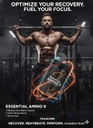 Rule 1 Proteins | ESSENTIAL AMINO 9™ – Recovery & Hydration Support (Peach Mango)